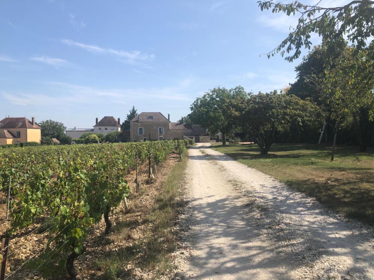 Maison De Pauline, Chablis Vineyard Préhy Exteriör bild