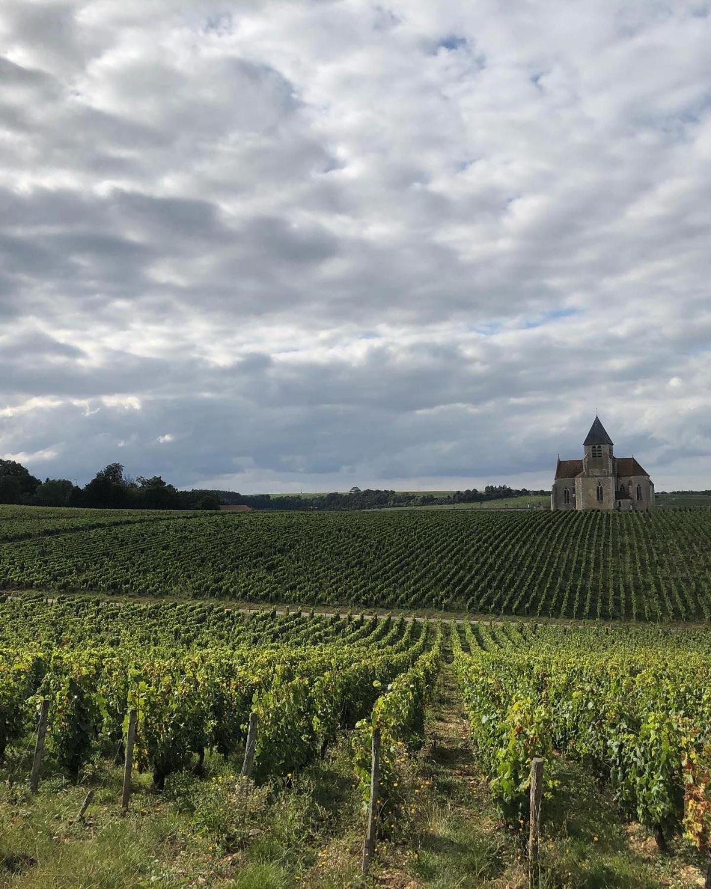 Maison De Pauline, Chablis Vineyard Préhy Rum bild