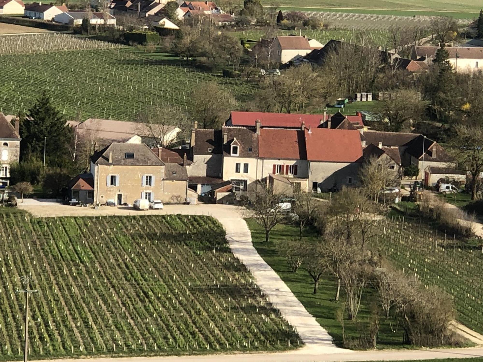 Maison De Pauline, Chablis Vineyard Préhy Exteriör bild